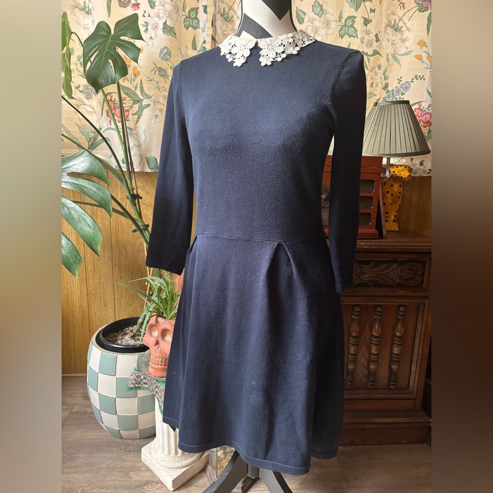 Lace Collar Dress
